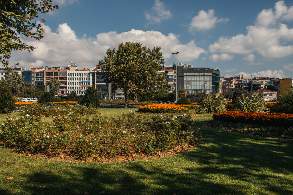 Camas de flores no prado na rua urbana em Istambul, Turquia  - Foto, Imagem