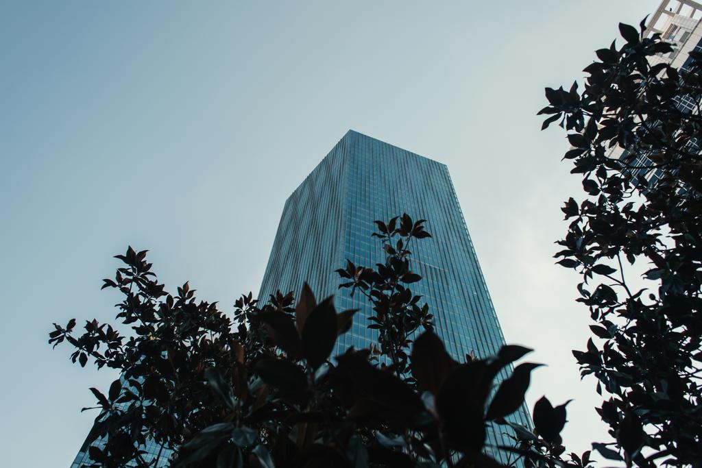 alacsony szög kilátás felhőkarcoló közelében fák ellen tiszta ég - Fotó, kép
