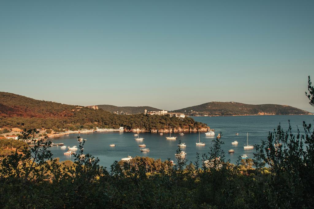 yachts in sea bay, surrounded by green hills - Photo, Image