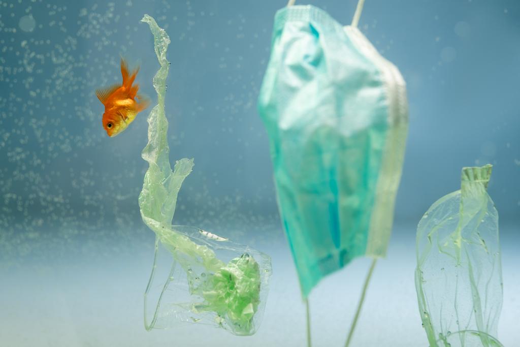 Goldfische im Wasser in der Nähe von Plastikmüll und medizinischer Maske, ökologisches Konzept - Foto, Bild
