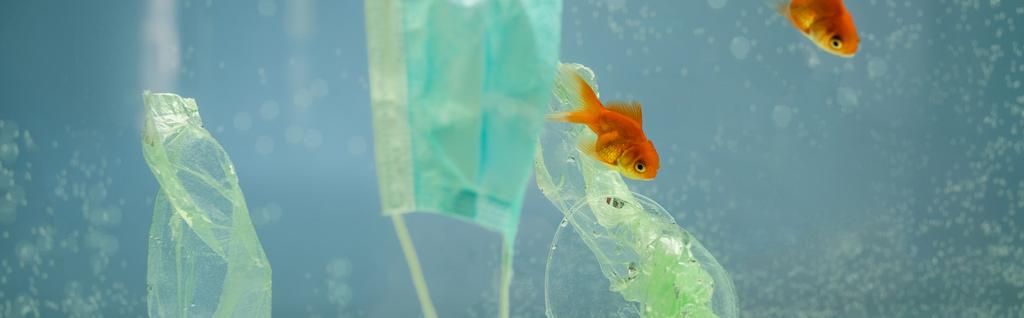 basura celofán y máscara médica cerca de peces de colores en el agua, concepto de ecología, bandera - Foto, Imagen