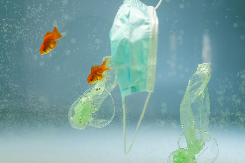 Медична маска біля золотої риби та сміття з поліетилену у воді, концепція екології
 - Фото, зображення