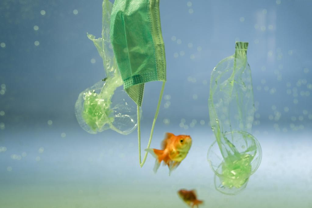 peces cerca de máscara médica, bolsas de plástico y tazas en el agua, concepto de ecología - Foto, Imagen