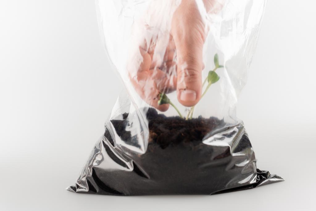 częściowy widok człowieka wyciągającego młode rośliny z plastikowej torby na białą, ekologiczną koncepcję - Zdjęcie, obraz