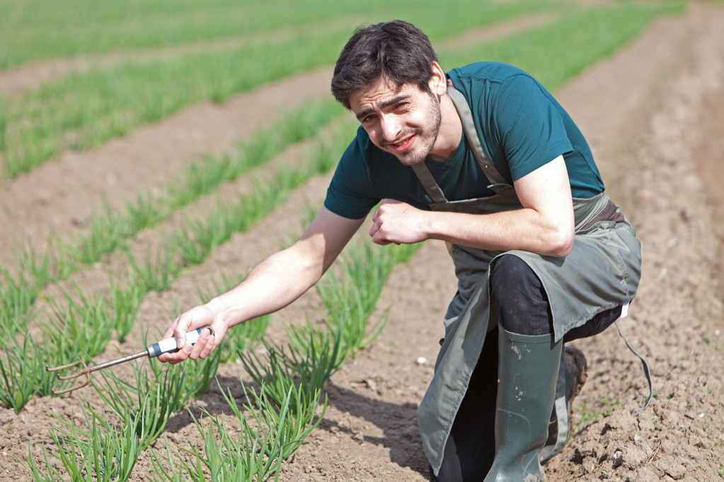 Young attractive farmer verify progress of culture - Photo, Image