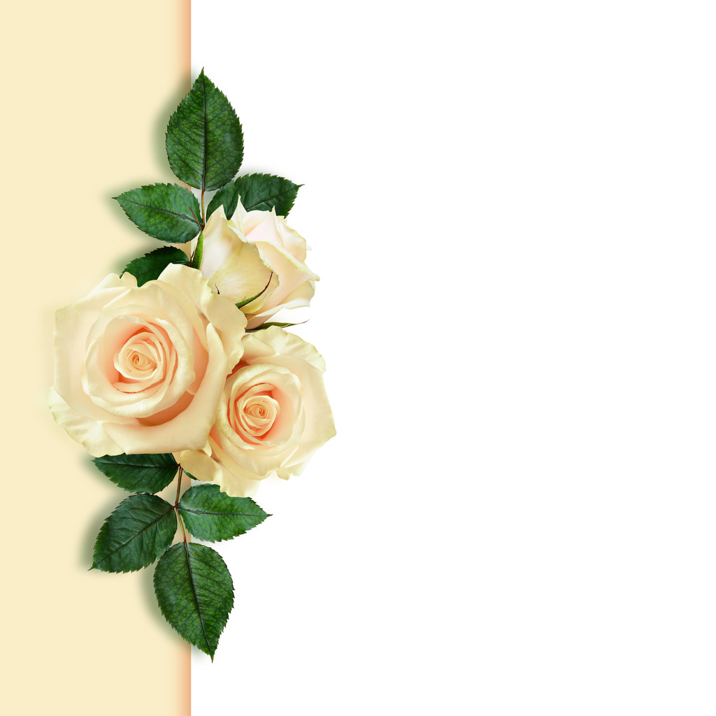ρύθμιση ροδαλά λουλούδια  - Φωτογραφία, εικόνα