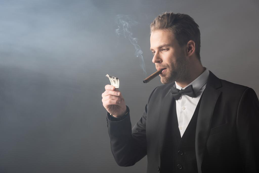 elegante zakenman met verbrande dollar bankbiljet terwijl het roken van sigaar op grijze achtergrond met rook - Foto, afbeelding