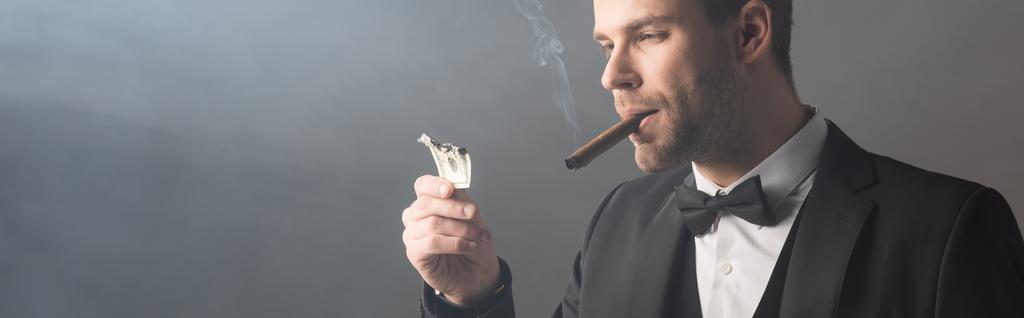 успешный бизнесмен, курящий сигару и держащий обгоревшую долларовую купюру на сером фоне с дымом, баннером - Фото, изображение