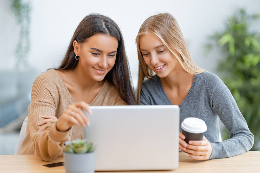 Zwei glückliche junge Frauen beim Online-Einkauf. Mädchen beim Einkaufen zu Hause. - Foto, Bild