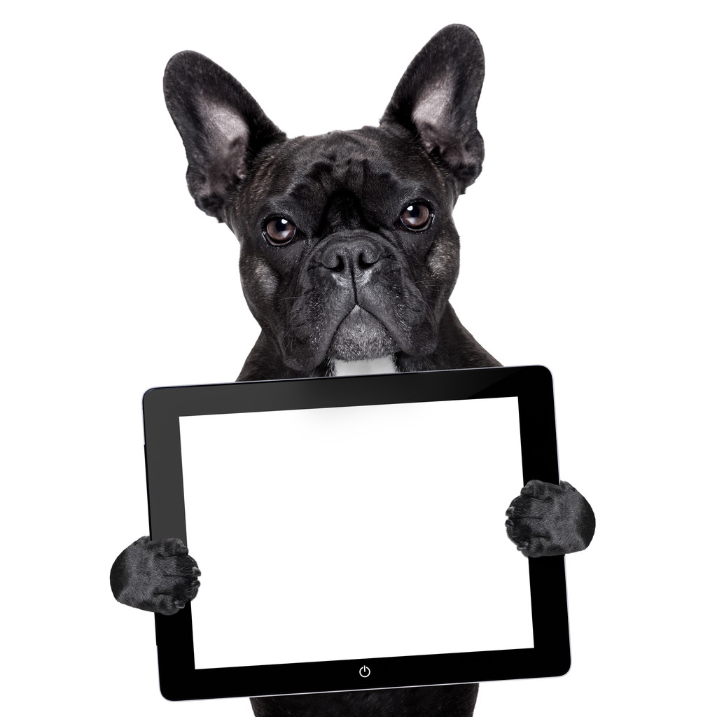 pes s tablet pc - Fotografie, Obrázek
