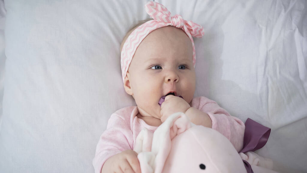 vrchní pohled na roztomilé kojence sání prsty v blízkosti měkké hračky  - Fotografie, Obrázek