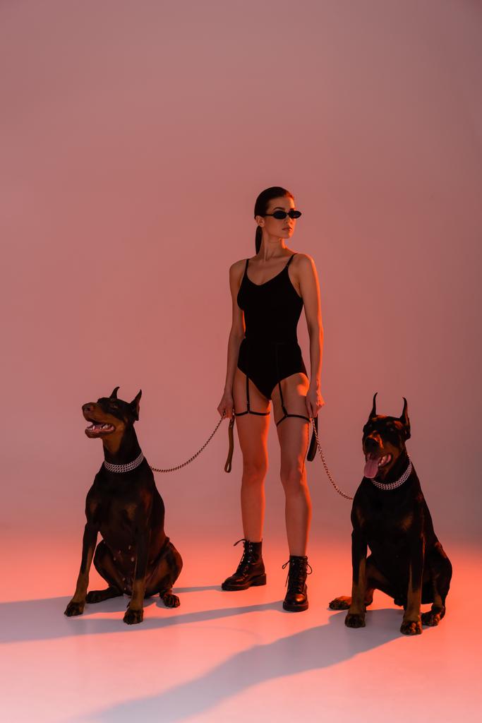 黄色の光でピンクの背景にセクシーな女性の近くにチェーンリース上のドーバーマン犬 - 写真・画像
