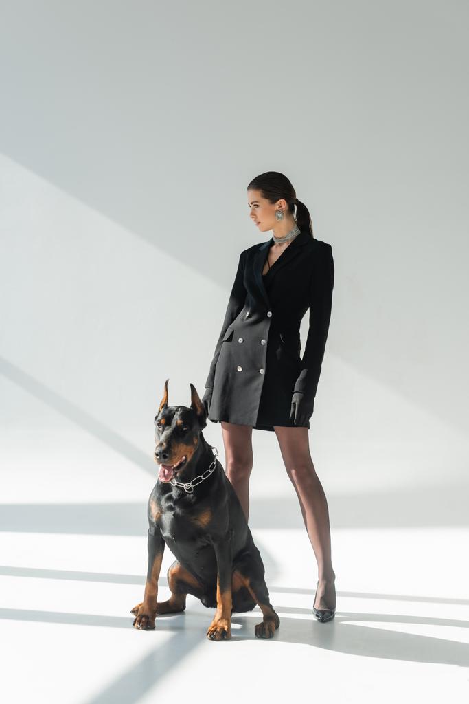 mujer confiada en vestido de chaqueta negro mirando hacia otro lado cerca perro doberman sobre fondo gris con sombras - Foto, imagen