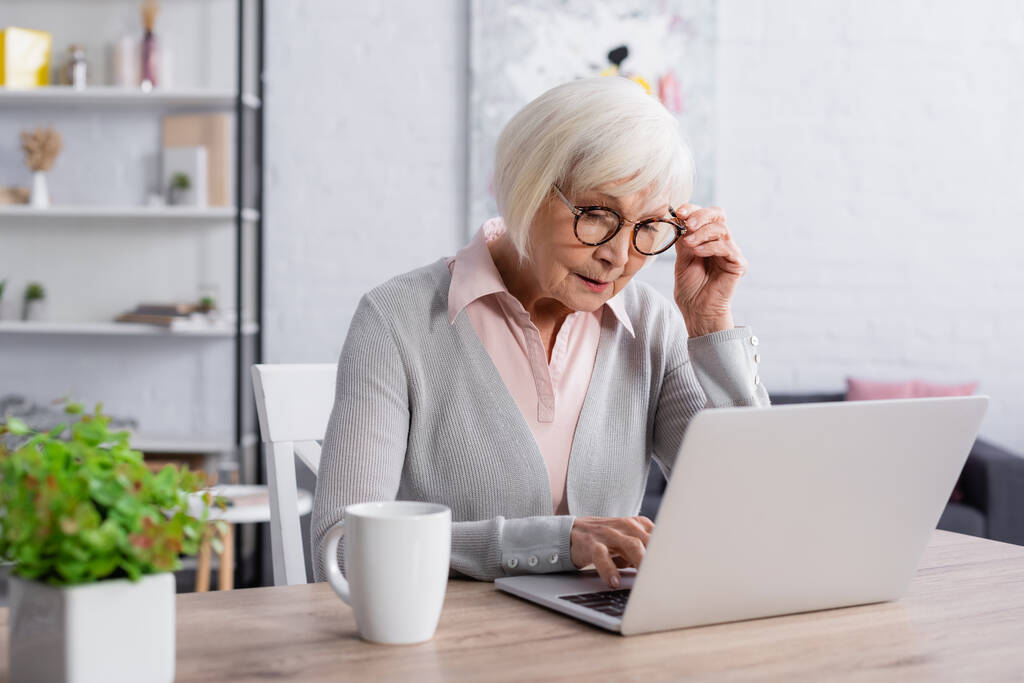 Vanhempi nainen silmälaseissa kannettavan tietokoneen avulla lähellä kuppia  - Valokuva, kuva