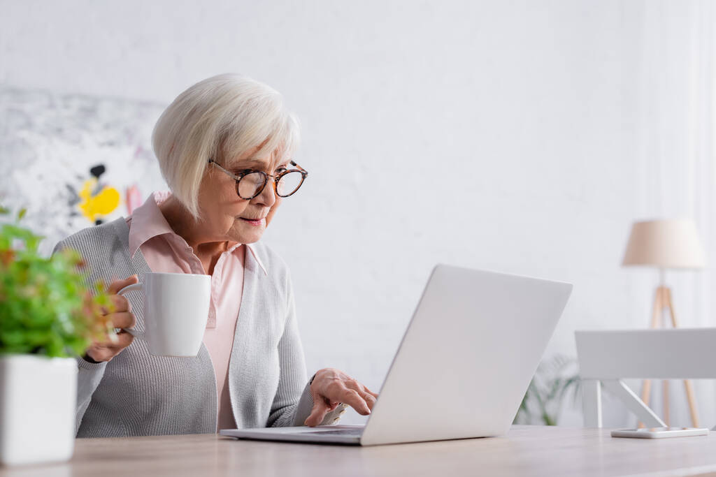 Donna anziana con tazza utilizzando computer portatile vicino alla pianta offuscata  - Foto, immagini