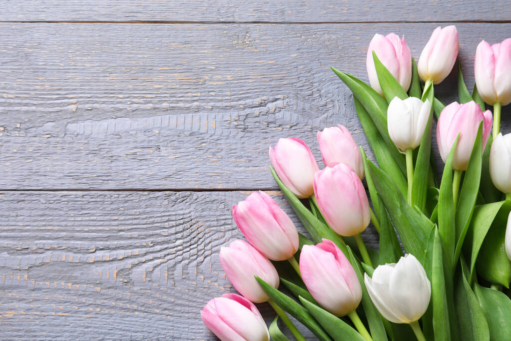 Beautiful pink spring tulips on grey wooden background, flat lay. Space for text - Photo, Image