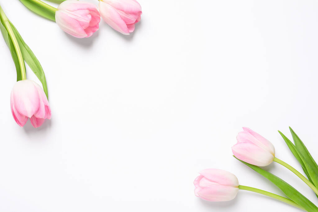 Krásné růžové jarní tulipány na bílém pozadí, horní pohled. Mezera pro text - Fotografie, Obrázek