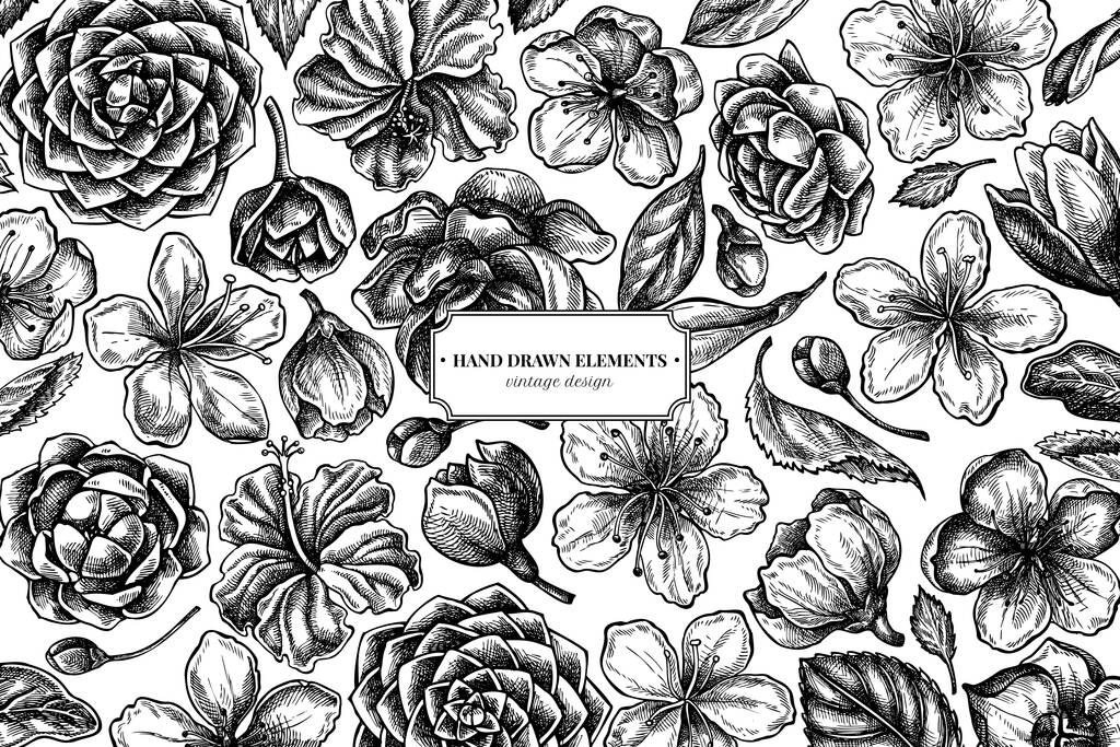 Květinový design s černobílým ibiškem, švestkové květy, broskvové květy, sakura květiny, magnólie květiny, camellia japonica - Vektor, obrázek