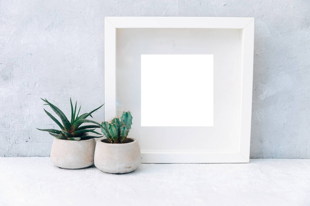 Minimal Mock up marco blanco con plantas de cactus de cerámica en macetas en un estante o escritorio. Estante blanco y pared.  - Foto, Imagen