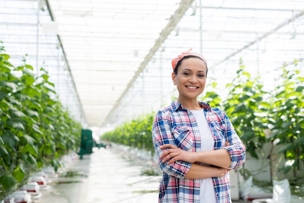 happy african american farmer smiling at camera while standing with crossed arms in greenhouse - Photo, Image