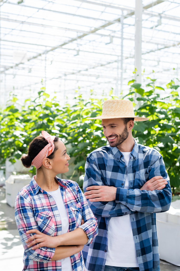 cheerful interracial farmers smiling at each other while standing with crossed arms in glasshouse - Photo, Image