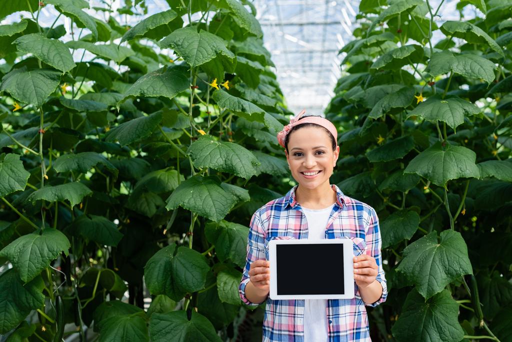 χαμογελαστός αφρικανός αγρότης που δείχνει ψηφιακή ταμπλέτα με λευκή οθόνη κοντά σε φυτά αγγούρι στο θερμοκήπιο - Φωτογραφία, εικόνα