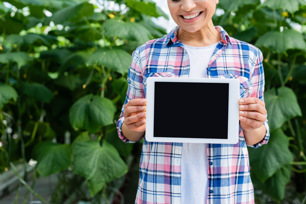 zugeschnittene Ansicht eines afrikanisch-amerikanischen Bauern, der ein digitales Tablet mit leerem Bildschirm im Gewächshaus hält - Foto, Bild