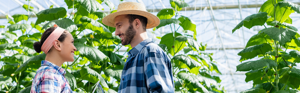 side view of smiling interracial farmers talking in greenhouse, banner - Photo, Image
