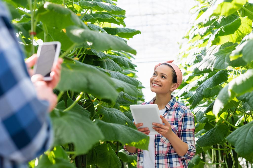 Αφροαμερικάνος αγρότης χαμογελά κοντά σε φυτά και συναδέλφους σε θολή πρώτο πλάνο - Φωτογραφία, εικόνα