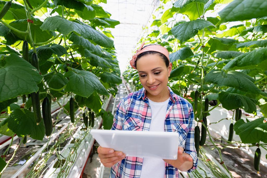 vrolijk Afrikaans amerikaanse boer houden digitale tablet in de buurt van planten met komkommers - Foto, afbeelding