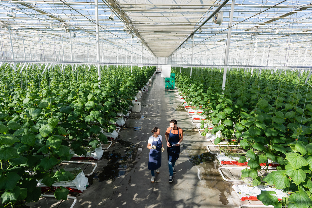 high angle view of multiethnic farmers in aprons talking while walking in greenhouse - Photo, Image