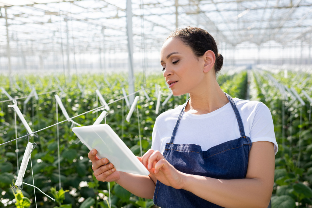 african american farmer in apron using digital tablet in greenhouse - Photo, Image