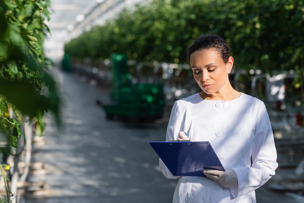 tecnólogo agrícola afroamericano escrito en portapapeles en invernadero - Foto, imagen
