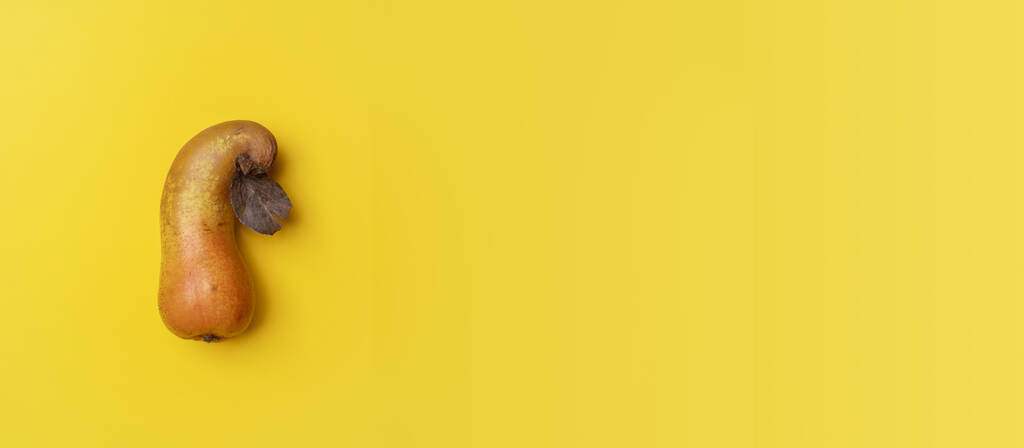 Banner amarillo brillante con una fea pera madura doblada y espacio de copia para texto. Frutas orgánicas naturales saludables. Desperdicio cero concepto de alimentos. Consumo sostenible de alimentos. - Foto, Imagen