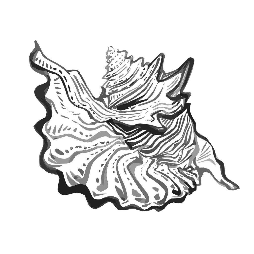 Doodle coquille de mer esquisse dessinée à la main en demi-tons gris noir. - Vecteur, image