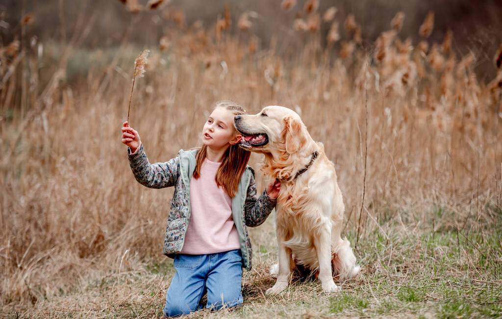 Mała dziewczynka z psem golden retriever na zewnątrz - Zdjęcie, obraz