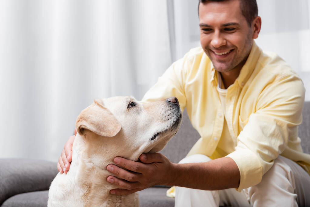 vreugdevolle man aaien labrador hond thuis, wazig achtergrond - Foto, afbeelding