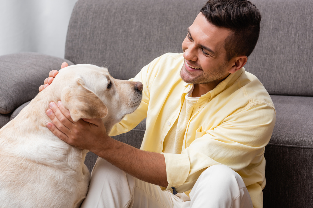 homem satisfeito acariciando cão labrador enquanto sentado perto do sofá - Foto, Imagem