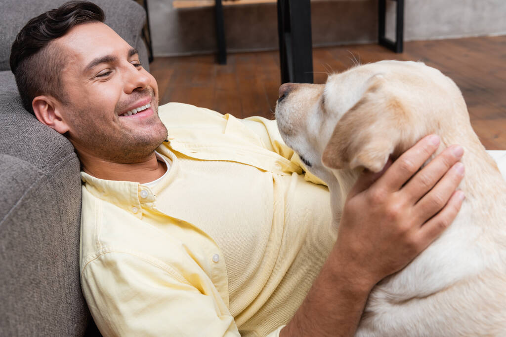 Χαμογελώντας άνθρωπος χαϊδεύοντας λαμπραντόρ σκυλί στον καναπέ στο σπίτι - Φωτογραφία, εικόνα