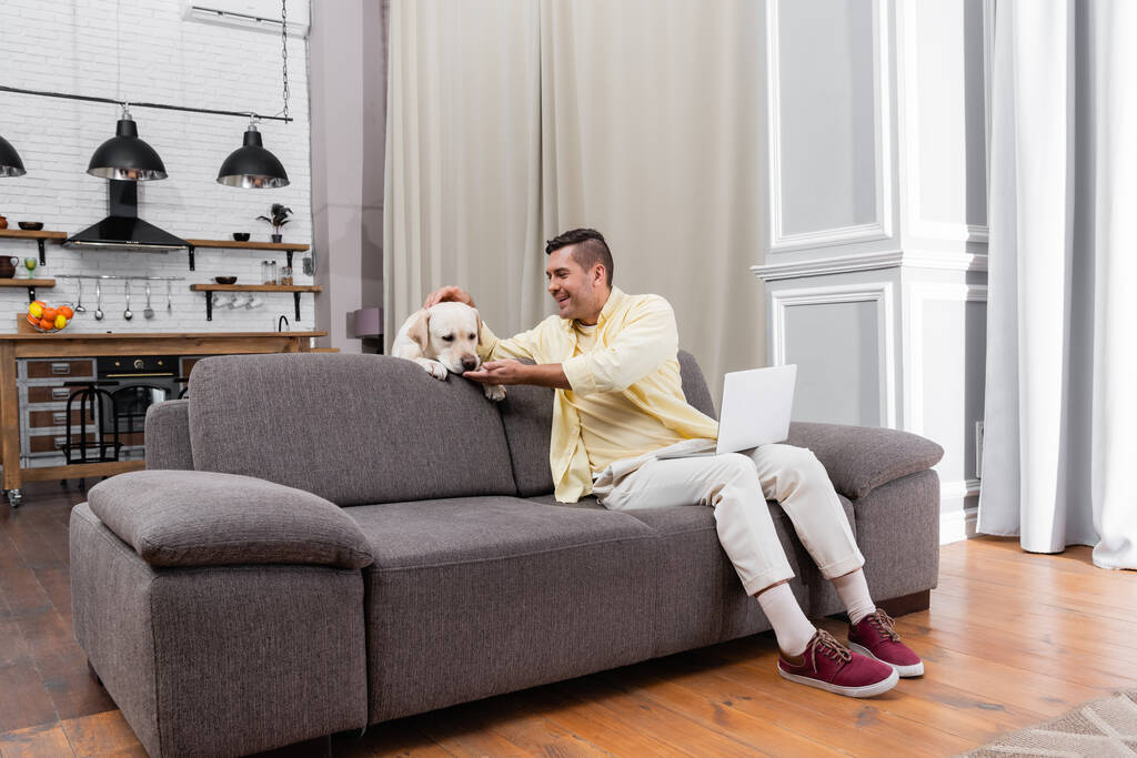 χαρούμενη ελεύθερος επαγγελματίας που διασκεδάζει με λαμπραντόρ, ενώ κάθεται στον καναπέ με φορητό υπολογιστή - Φωτογραφία, εικόνα