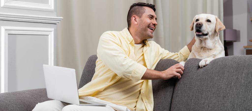 счастливый фрилансер гладит собаку-лабрадора, сидя на диване с ноутбуком - Фото, изображение