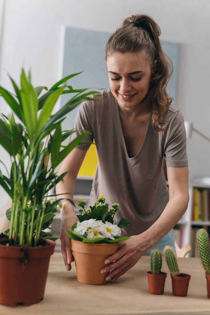 женщина садоводства комнатные растения дома - Фото, изображение