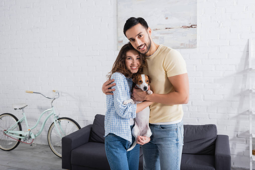 cheerful multiethnic couple hugging with jack russell terrier in modern living room - Photo, Image