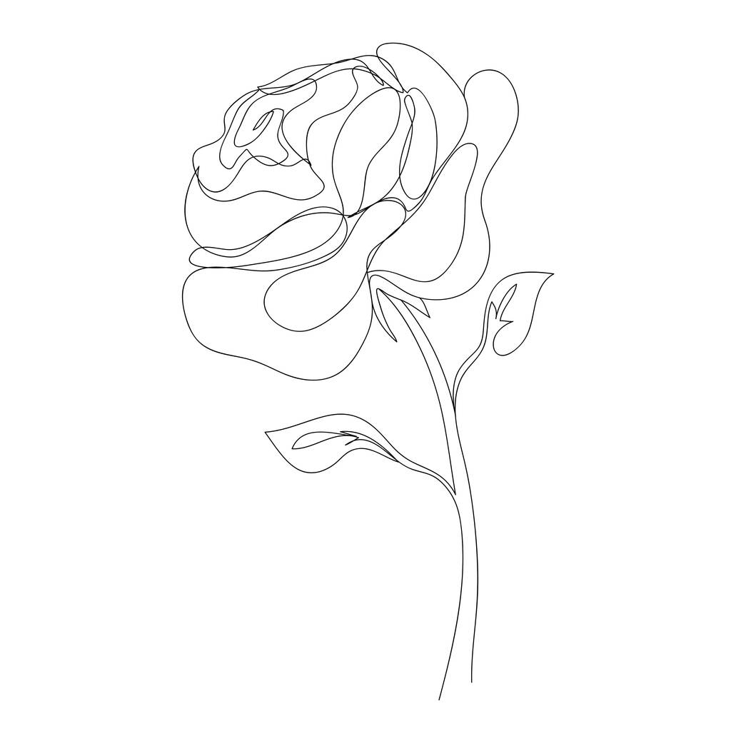 Jatkuva yhden linjan piirustus ruususta. Musta ja valkoinen vektori kuva kukka. Logo, postikortti, banneri, juliste, lentolehtinen käsite - Vektori, kuva