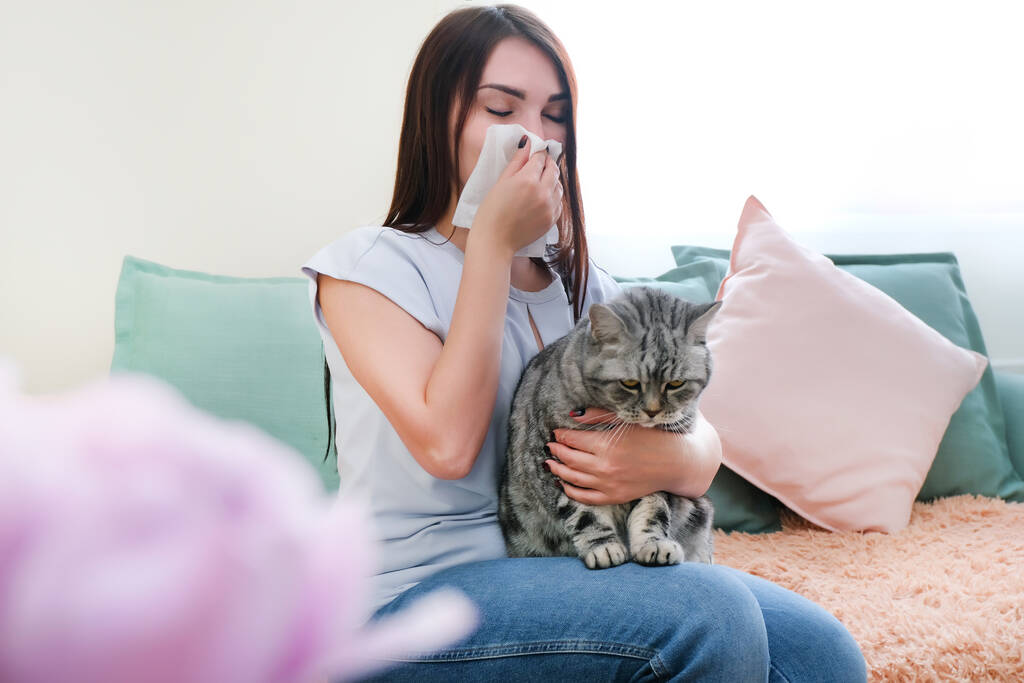 jeune femme éternue d'allergie à la fourrure sur le canapé et jouer avec son chat. - Photo, image