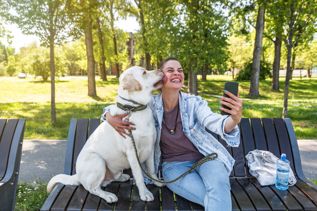 Joven hermosa mujer sentada con su perro mascota un Labrador Retriever de oro en un banco quiere tomar una selfie con un teléfono inteligente, pero el perro lamió su cara con la lengua y la sorprendió - Foto, Imagen