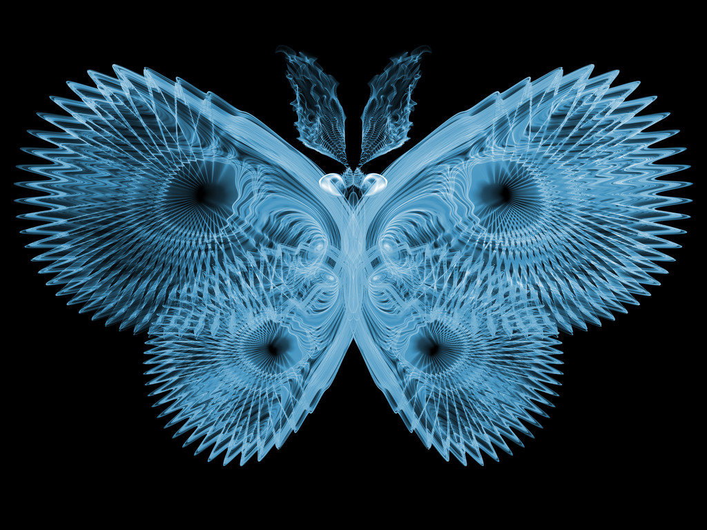Визуализация бабочек
 - Фото, изображение