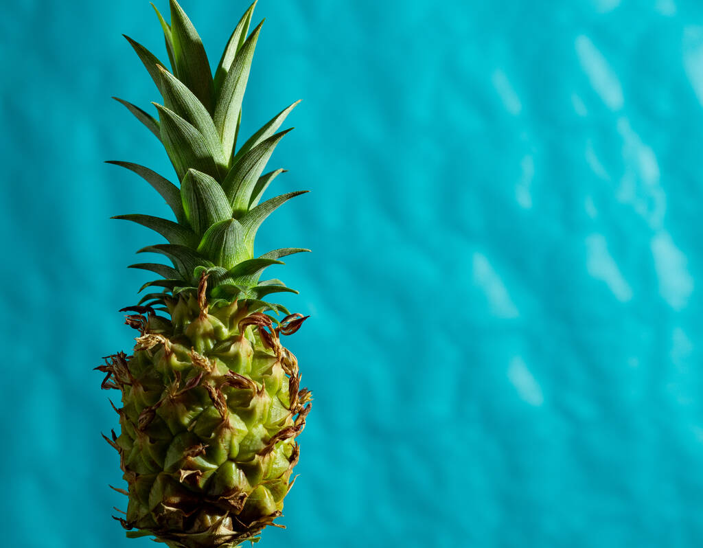Gros plan d'ananas sur un fond bleu isolé - Photo, image
