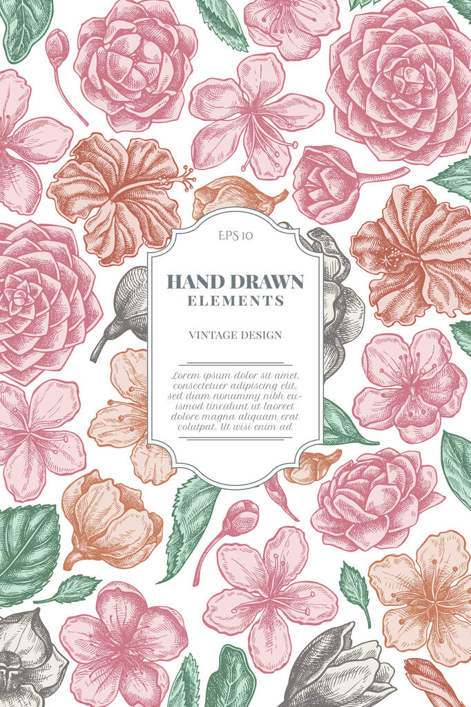 Design karty s pastelovým ibiškem, květy švestky, broskvové květy, sakura květiny, magnólie květiny, camellia japonica - Vektor, obrázek