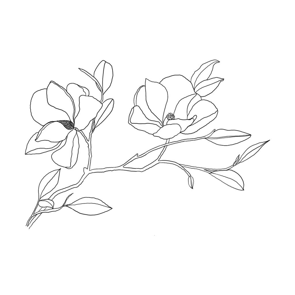 Uno schizzo floreale. Illustrazione di fiori di contorno nero. Fiori e piante primaverili - Foto, immagini